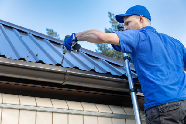 Best Sheet Metal Roofing  in Macarthur, WV